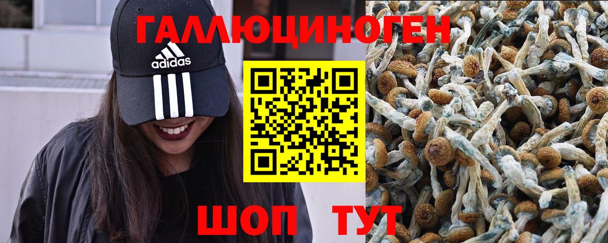 Галлюциногенные грибы ЛСД Коряжма