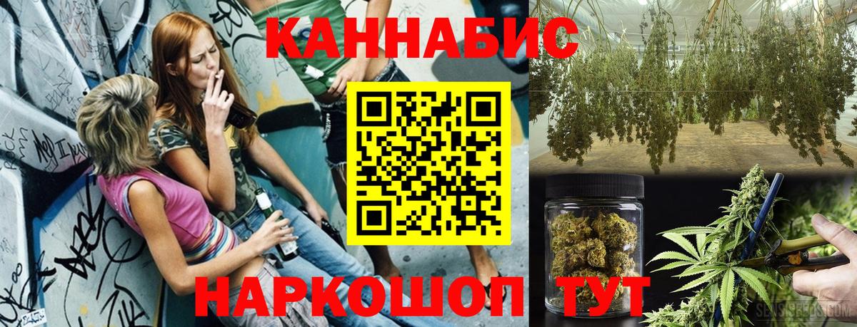 Коряжма  Шишки марихуана конопля  Вход с VPN  Канабис SATIVA & INDICA  Бошки Шишки SATIVA & INDICA 
